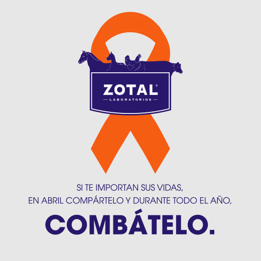 Contra el maltrato animal