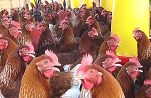 todo dentro, todo fuera