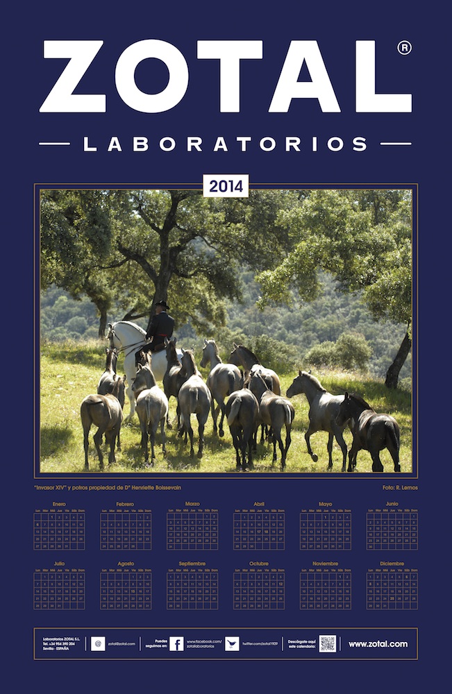 Calendario 2014 ZOTAL