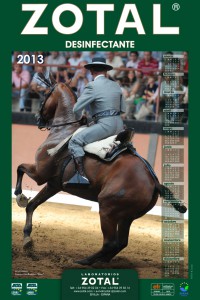 Calendario 2013 ZOTAL