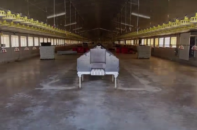 nave ganaderia
