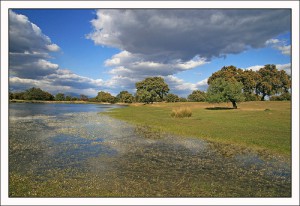 comprometido con el Medio Ambiente