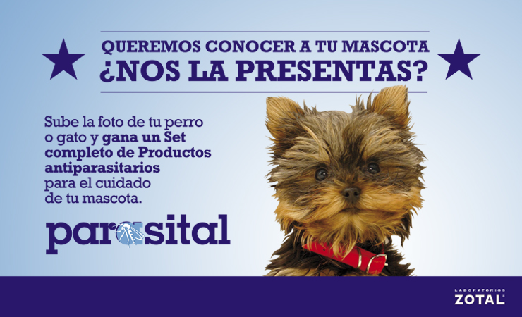 Conocer a tu mascota