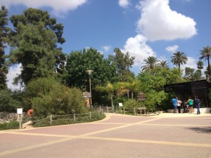 desinfección y limpieza de zoológicos