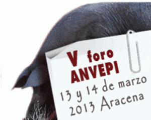 foto_aracena_anvepi
