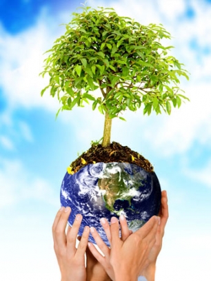 Medio Ambiente