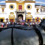 Plaza de Toros de la Real Maestranza de Caballería
