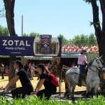 limpieza y cuidados del caballo en las ferias