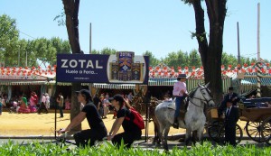 limpieza y cuidados del caballo en las ferias