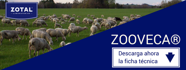 Información del antisárnico para ovejas Zooveca