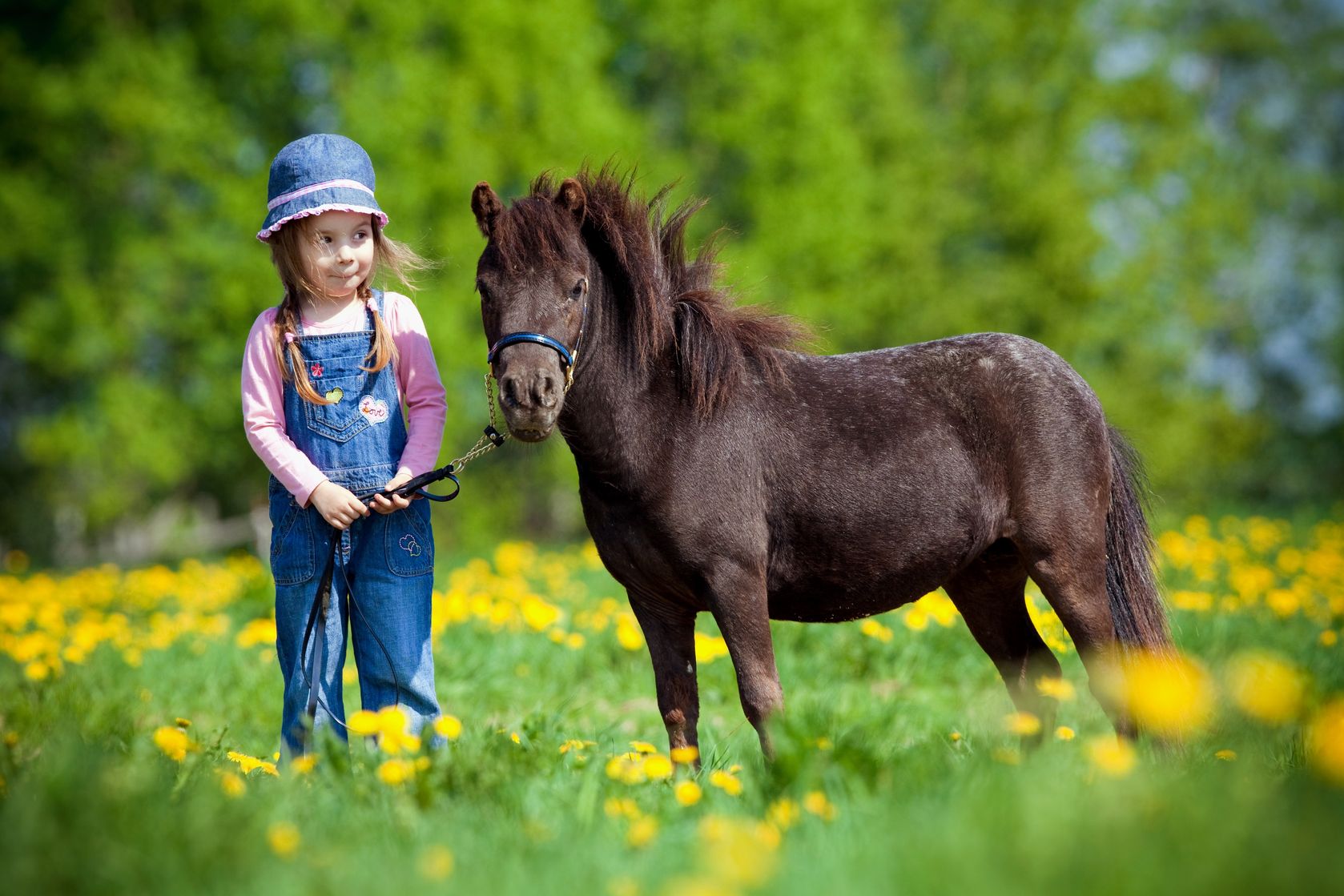 Imagen de niña con caballo miniatura | Zotal