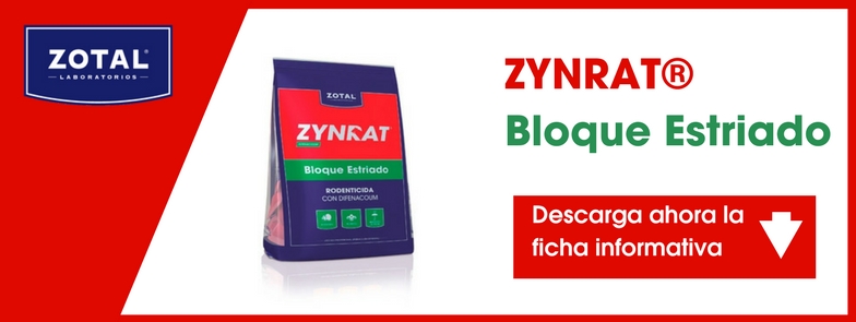 Descargar ficha informativa de Zynrat Bloque Estriado