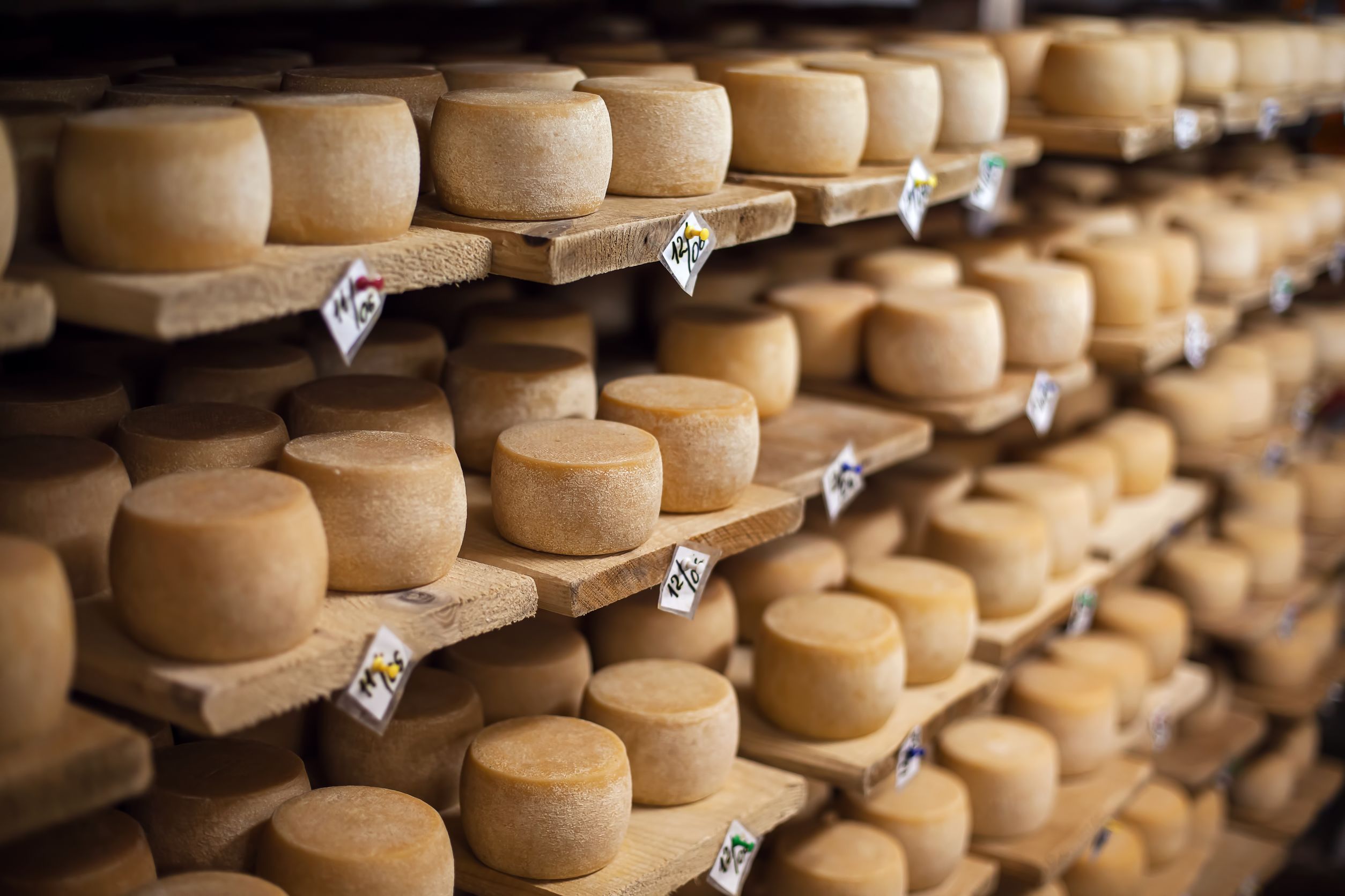 ácaro del queso