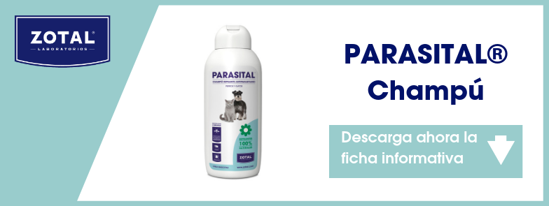 mal olor mascotas