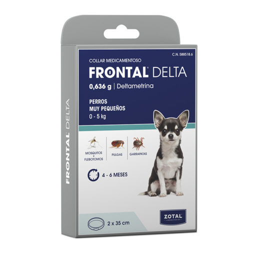 frontal delta perros muy pequeños