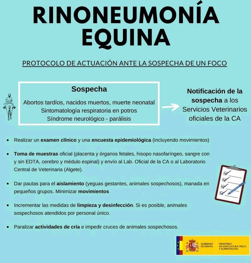 protocolo rinoneumonitis equina