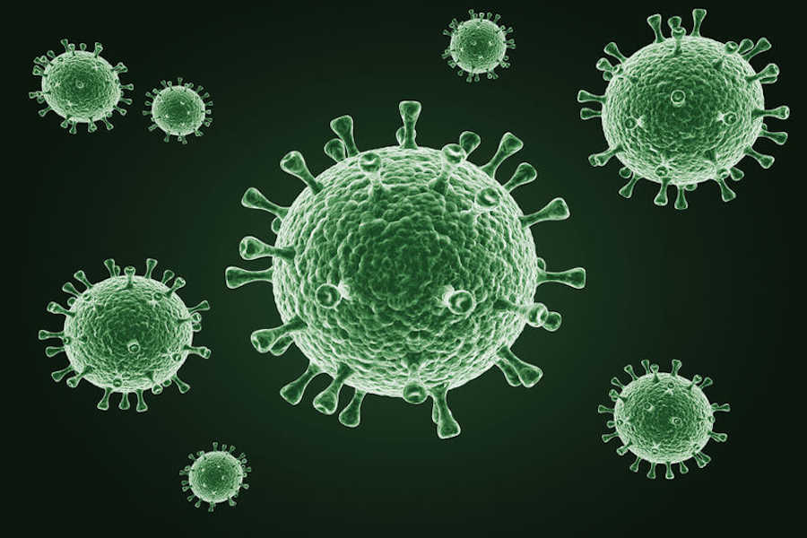 virus de influenza equina